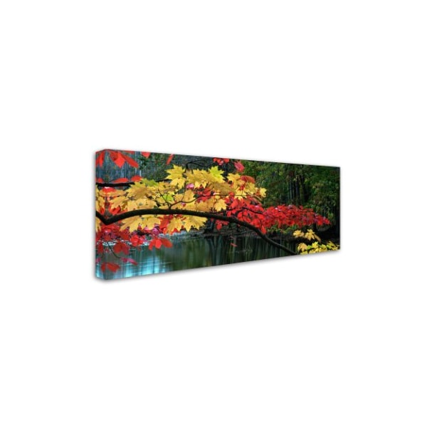 Kurt Shaffer 'Autumn Red And Gold' Canvas Art,20x47